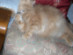 View full size picture