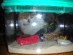 View full size picture