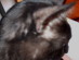 View full size picture