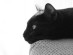 View full size picture