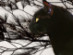 View full size picture