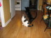 View full size picture