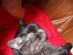 View full size picture