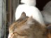 View full size picture