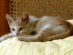 View full size picture