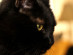 View full size picture