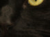 View full size picture