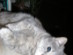 View full size picture