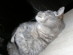 View full size picture