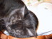 View full size picture