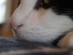 View full size picture