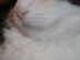 View full size picture
