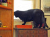 View full size picture