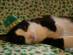View full size picture