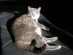 View full size picture