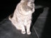View full size picture