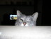 View full size picture