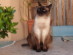 View full size picture