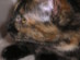 View full size picture