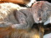 View full size picture