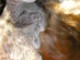 View full size picture