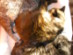 View full size picture