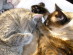 View full size picture