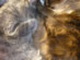 View full size picture