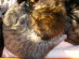 View full size picture