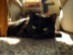 View full size picture