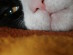 View full size picture