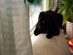 View full size picture