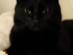 View full size picture