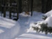 View full size picture