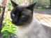 View full size picture