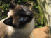 View full size picture