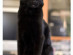 View full size picture