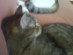View full size picture