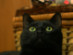 View full size picture