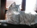 View full size picture