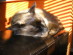 View full size picture