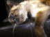 View full size picture