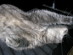 View full size picture