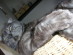 View full size picture