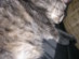 View full size picture