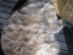 View full size picture
