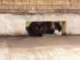 View full size picture