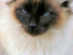 View full size picture