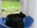 View full size picture