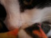 View full size picture